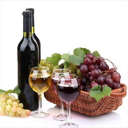 千岸優選紅酒加盟 開啟法國葡萄酒連鎖事業的投資指南